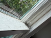 Cobwebs inside