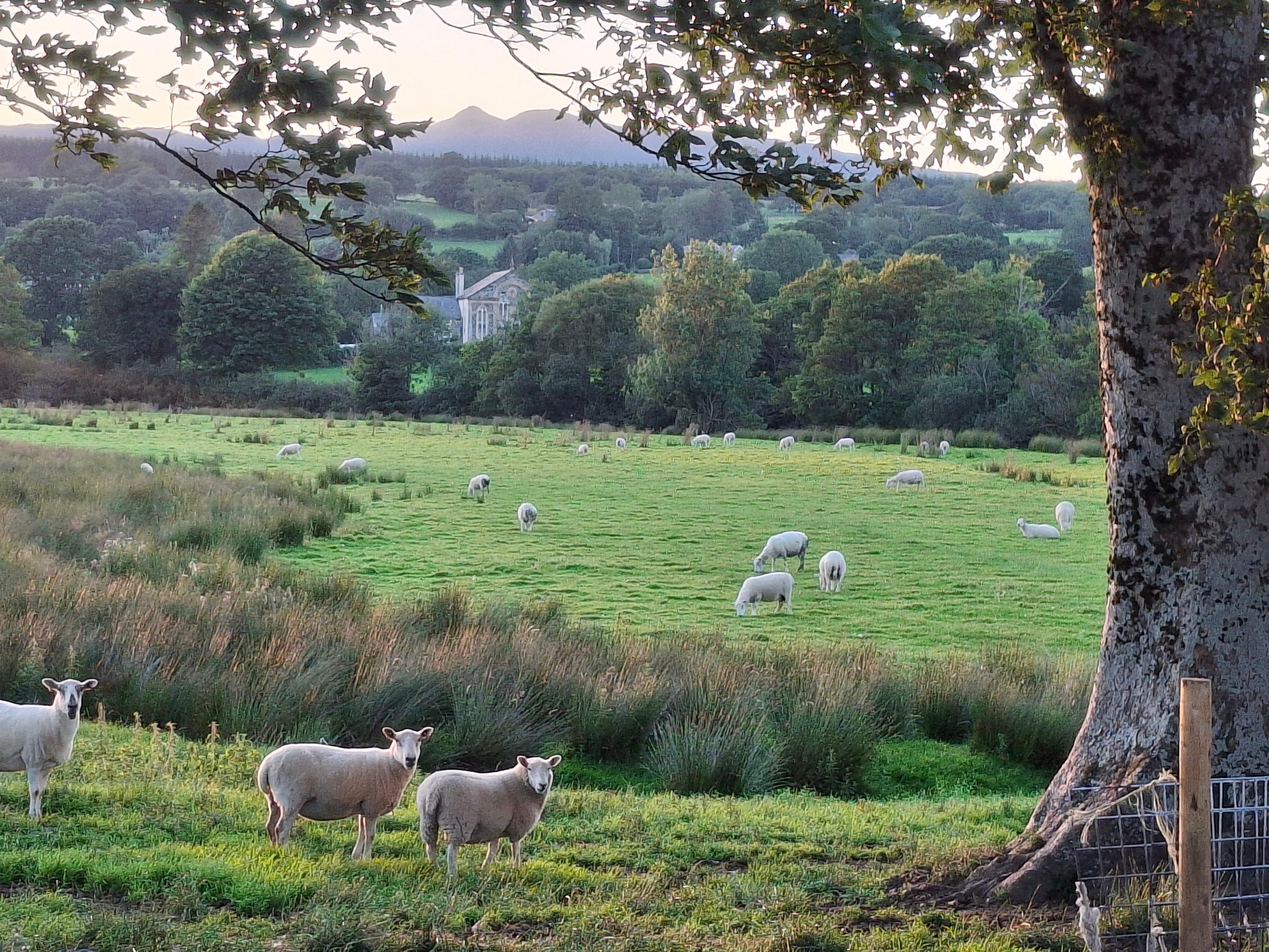 Countryside around the cottage