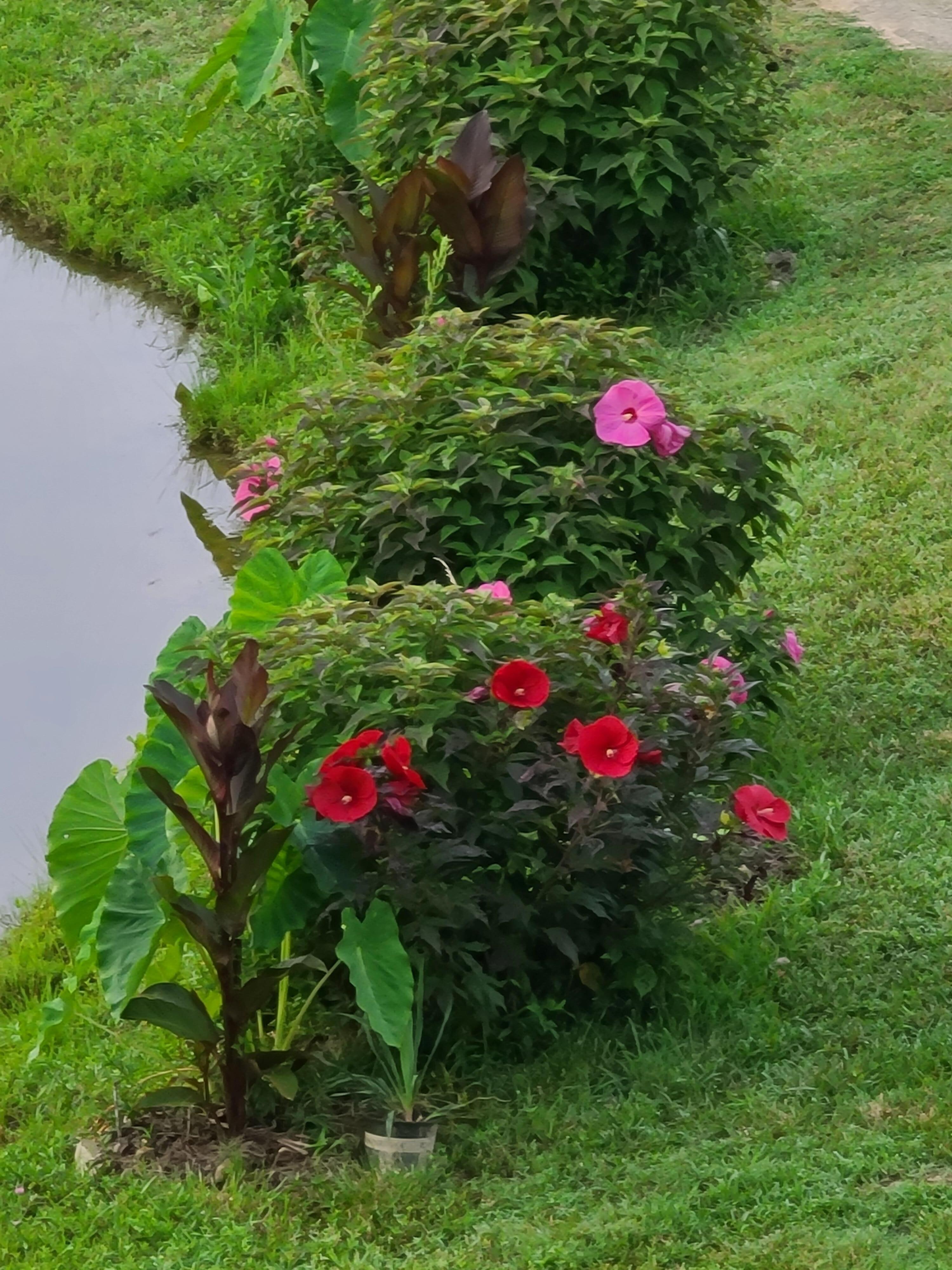 Beautiful landscaping around ponds 