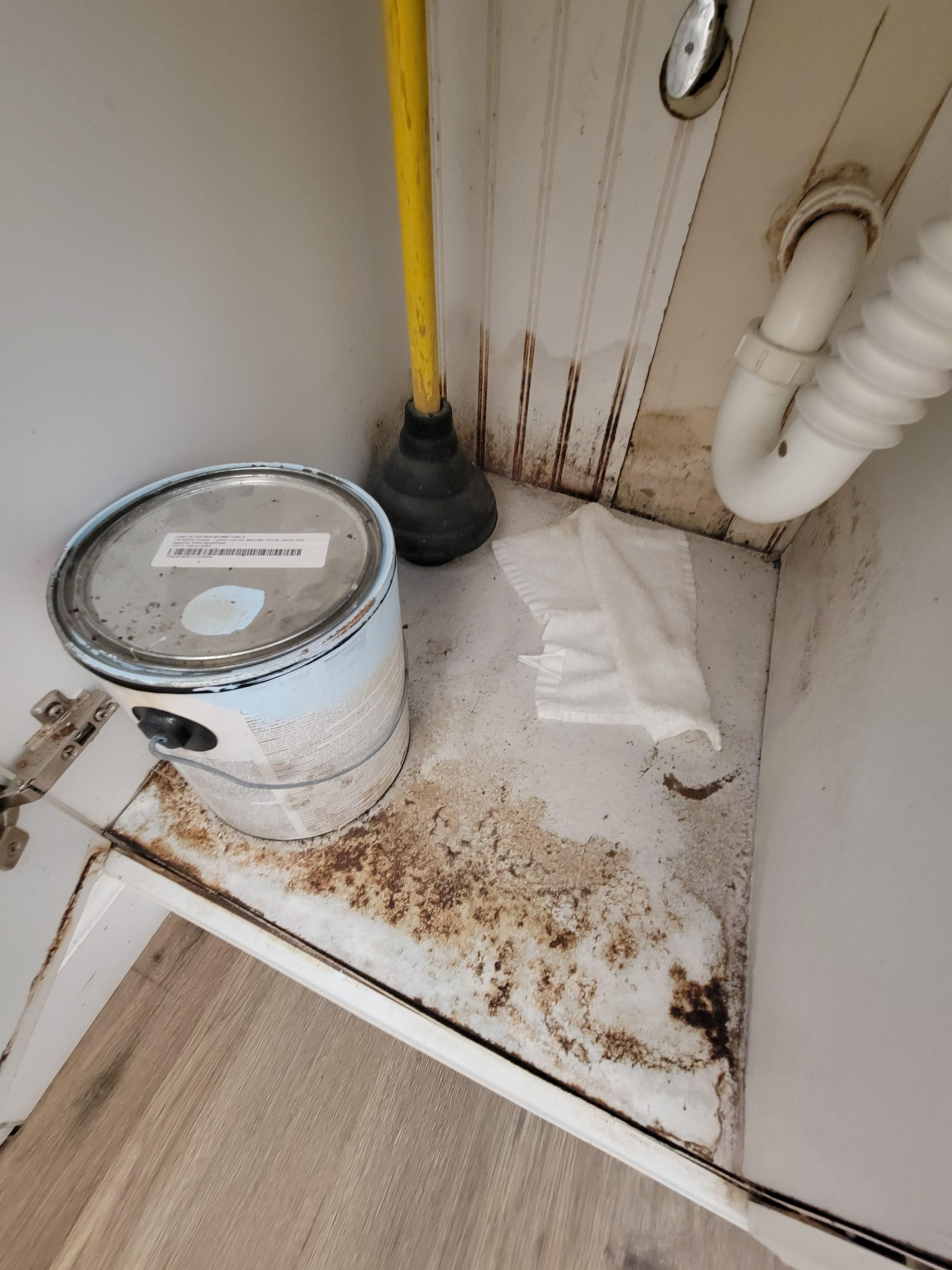 Water damage and dirt and grime under the bathroom sink. Found while searching for the beach towels they said would be available.