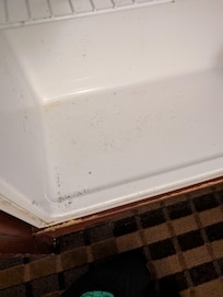 Mold in fridge