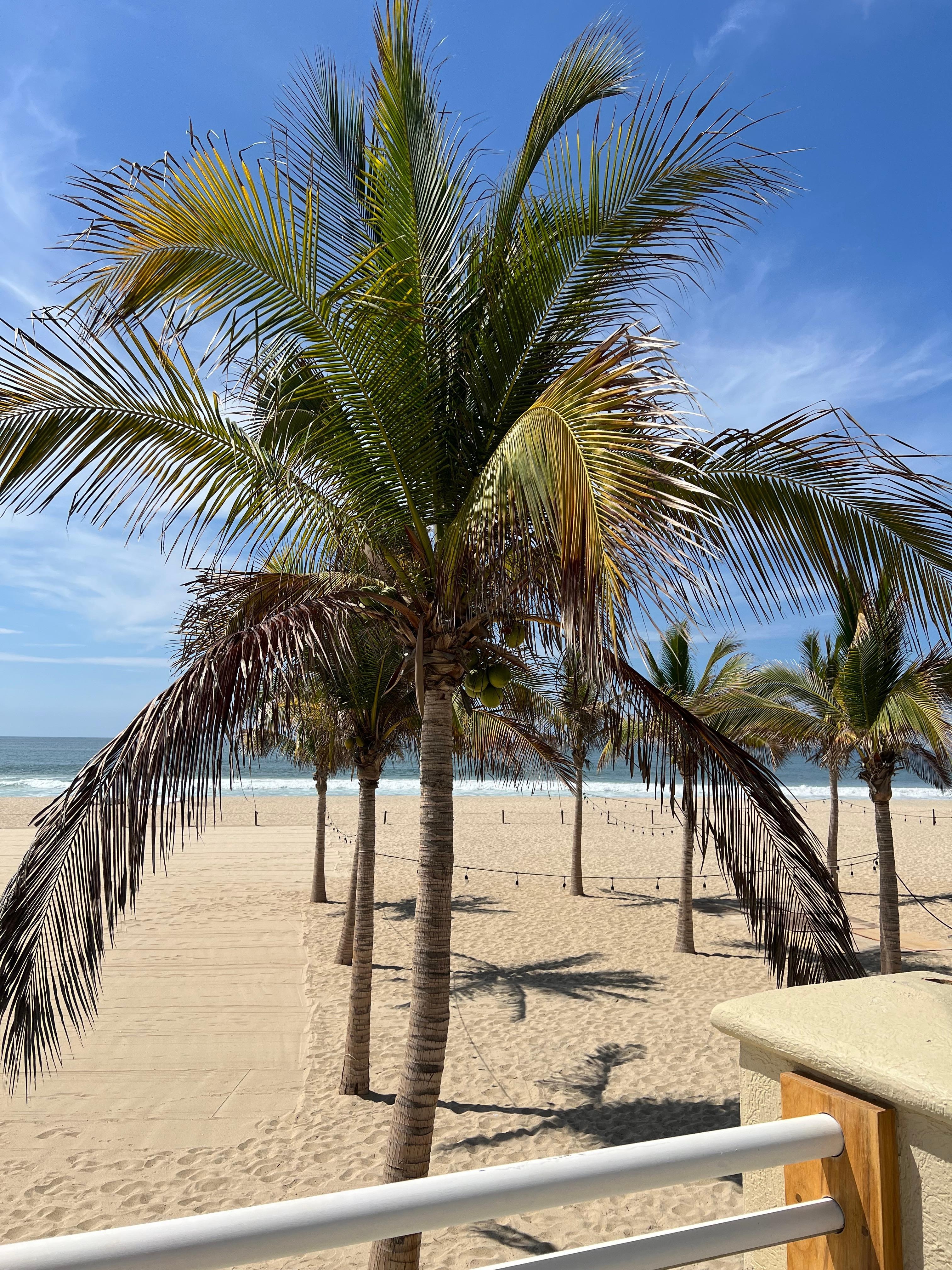 From the property to the ocean