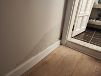 Smelly damp walls