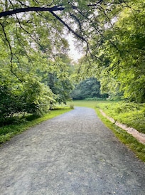 Monticello trails
