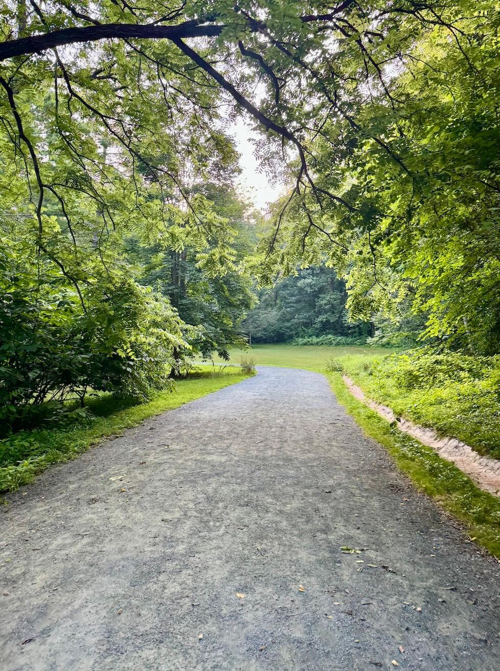 Monticello trails