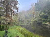 View from back deck