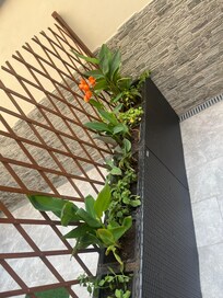 beautiful patio