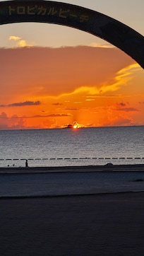 호텔 5분거리 트로피카 비치