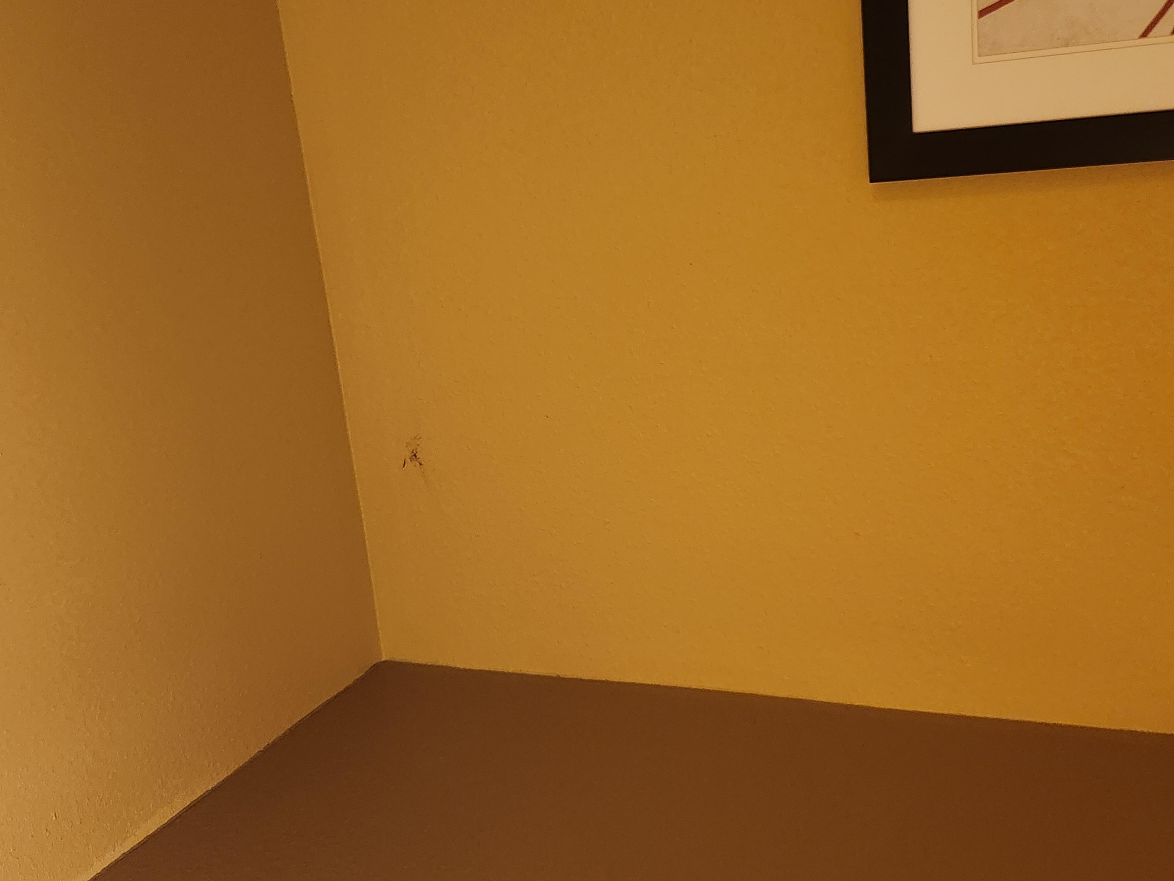 Stains on the wall