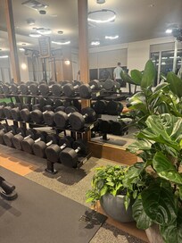 The Gym