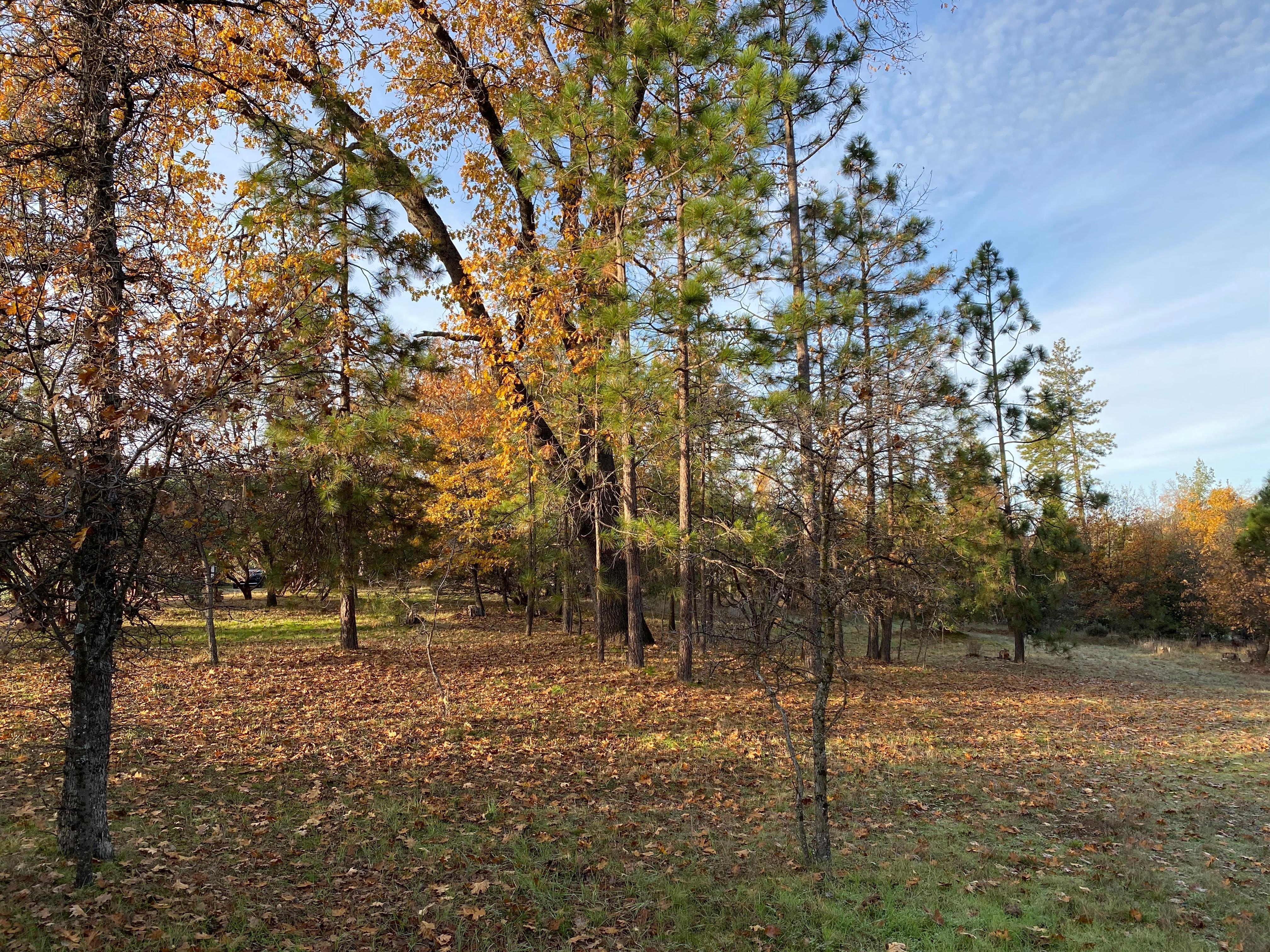 View surrounding the property. 