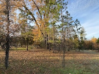 View surrounding the property.