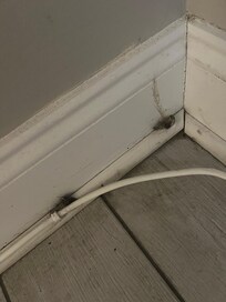 Disgusting chunks of hair in corners of rooms