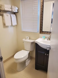 Bathroom in the room. Also has a glass enclosed shower behind the door.