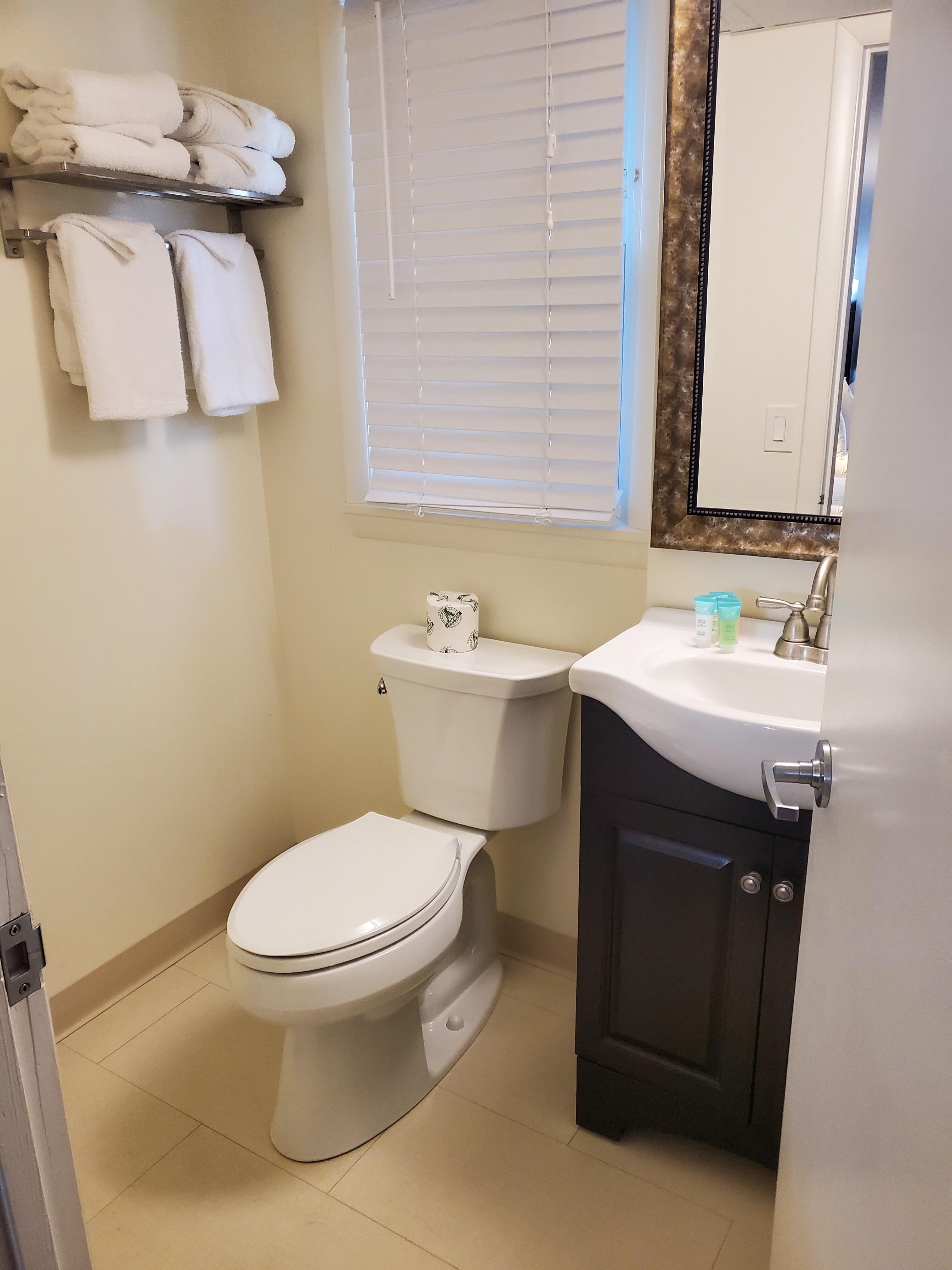 Bathroom in the room. Also has a glass enclosed shower behind the door.