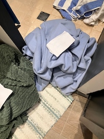 Dog smelling blanket