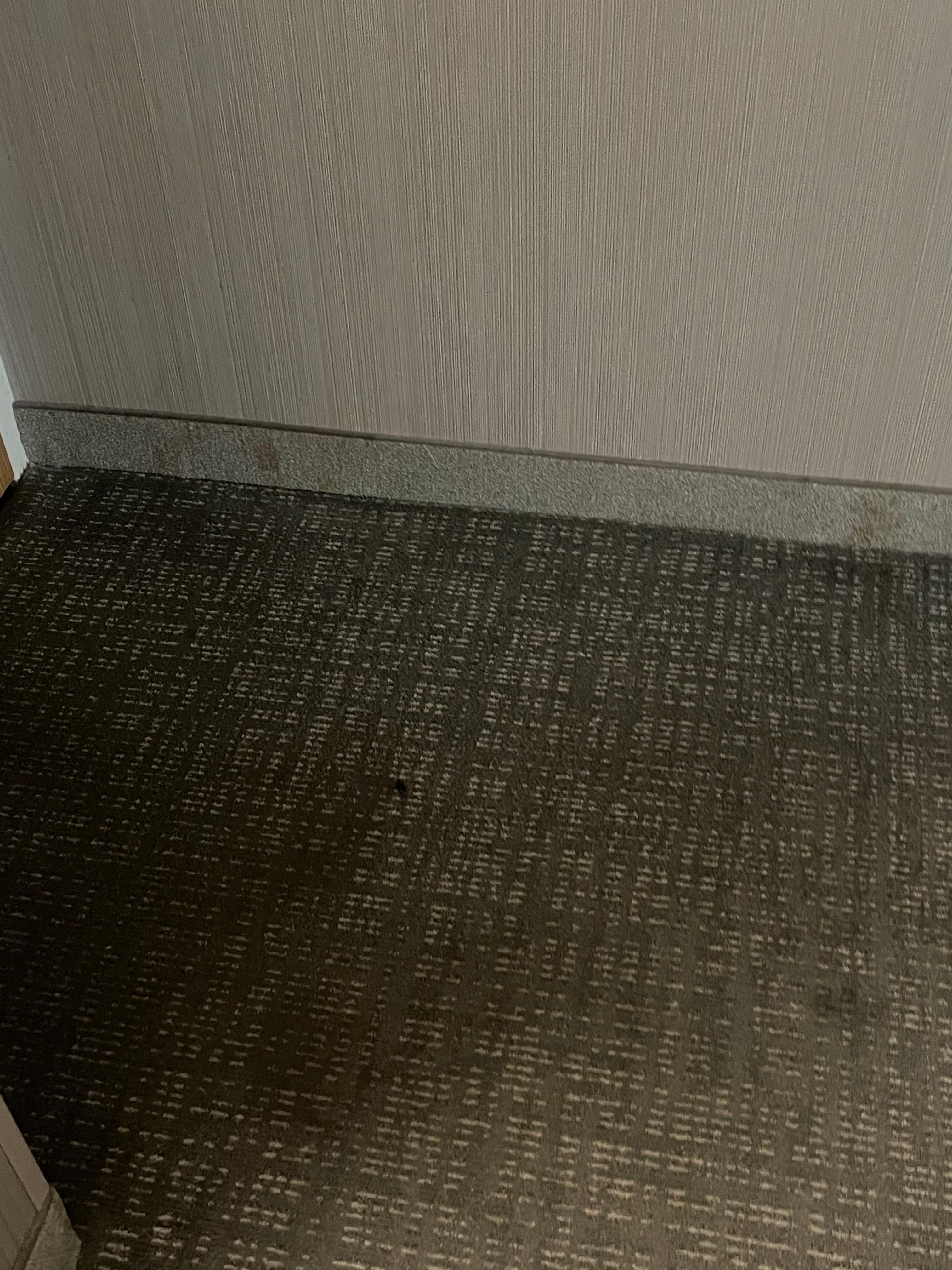 Inside the front door. 