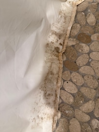 Mildew in shower.