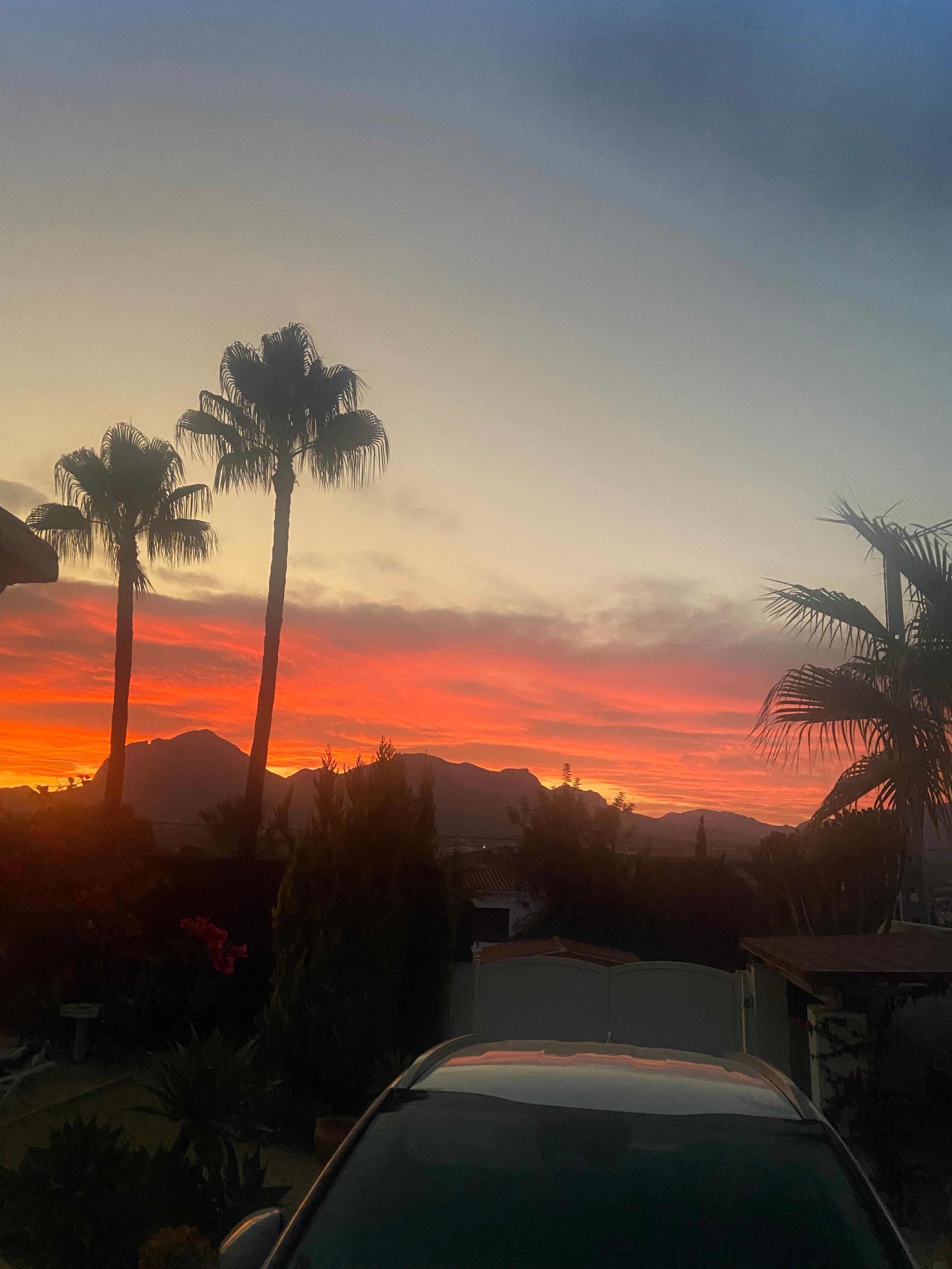 View from the terrace every evening