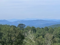 Awesome view from back porch.