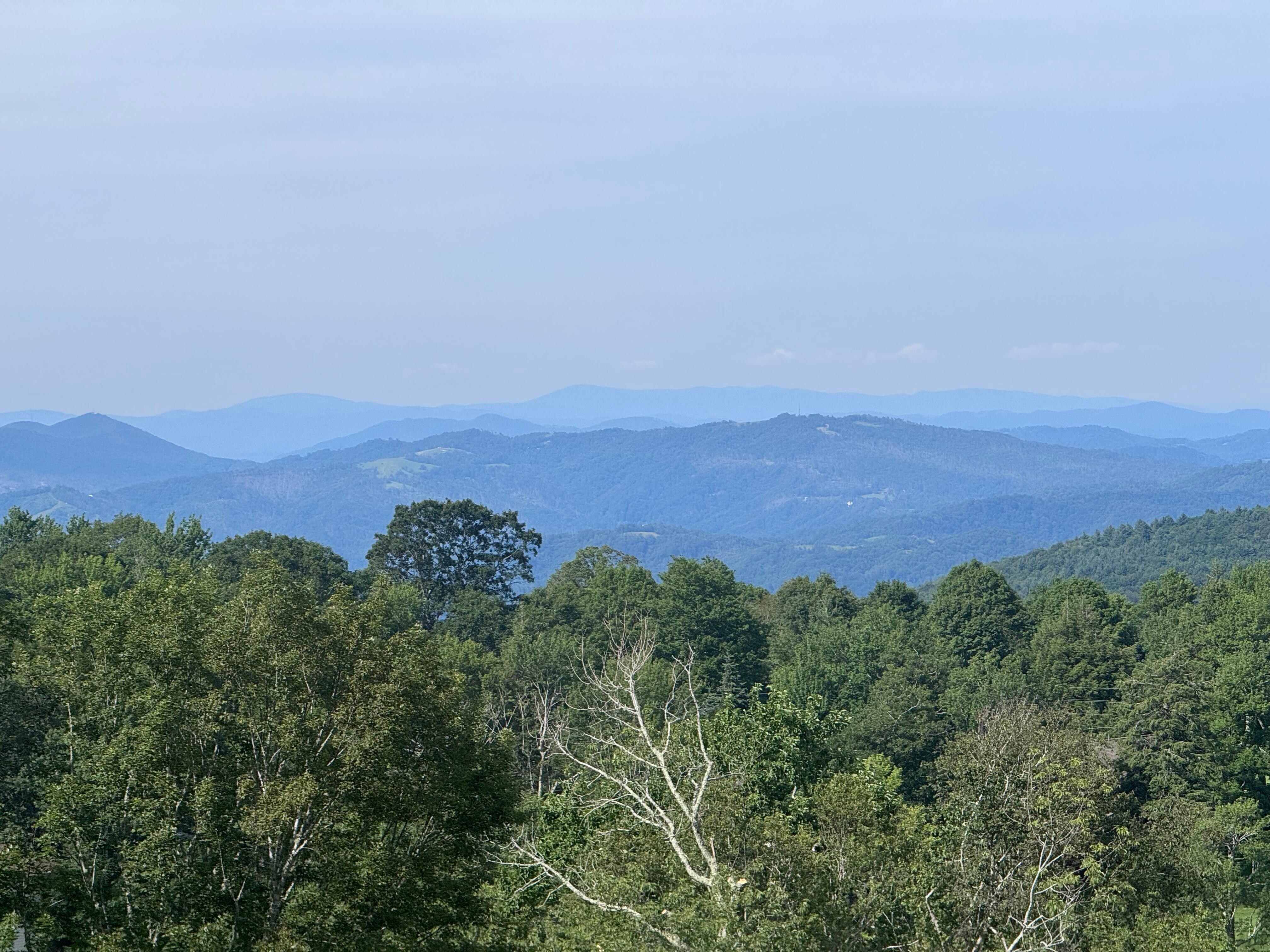 Awesome view from back porch. 
