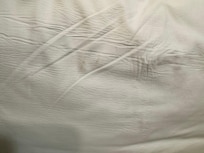 Dirty pillows and the stench of them.