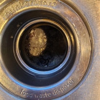 Food in sink because garbage disposal key is missing