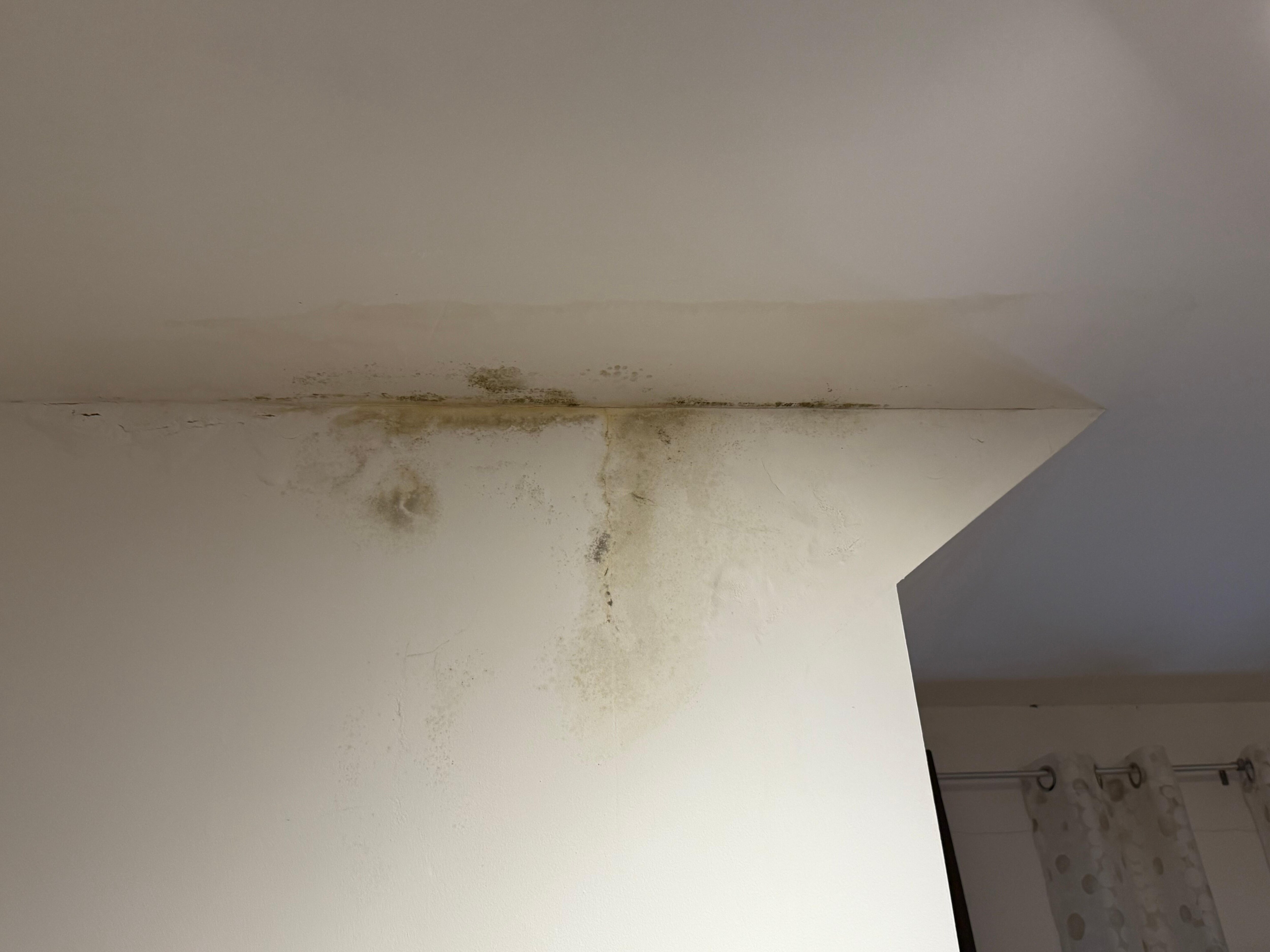Mold and water stains 