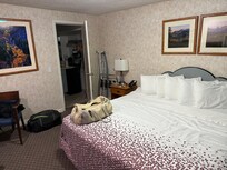 Interior of room, nice big king bed