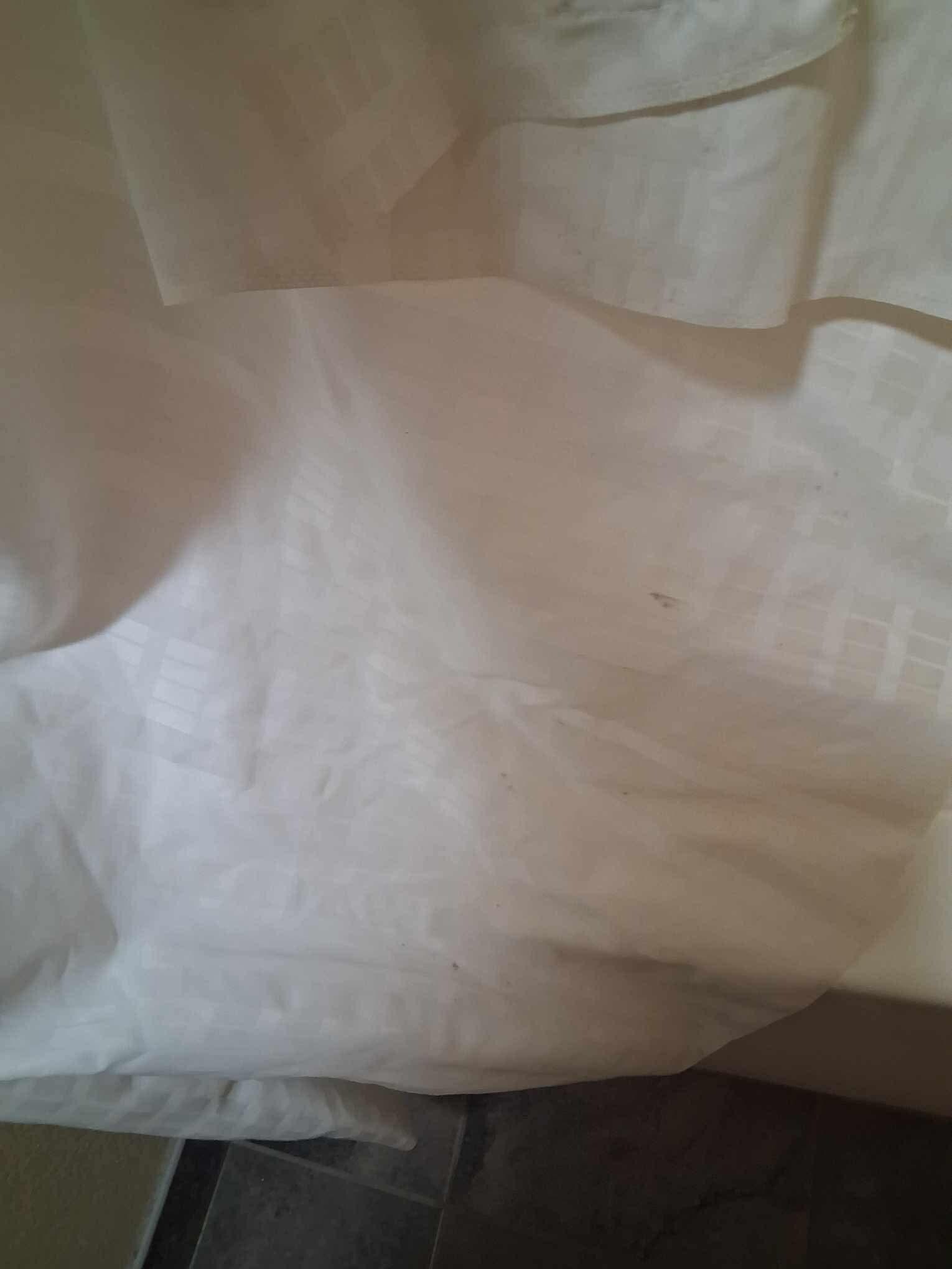 Mold on shower curtain 