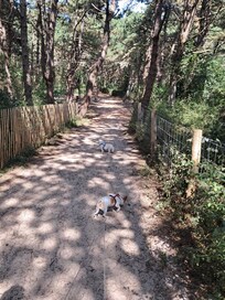 Sentier du Royon