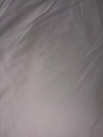 Hair in “freshly made bed”