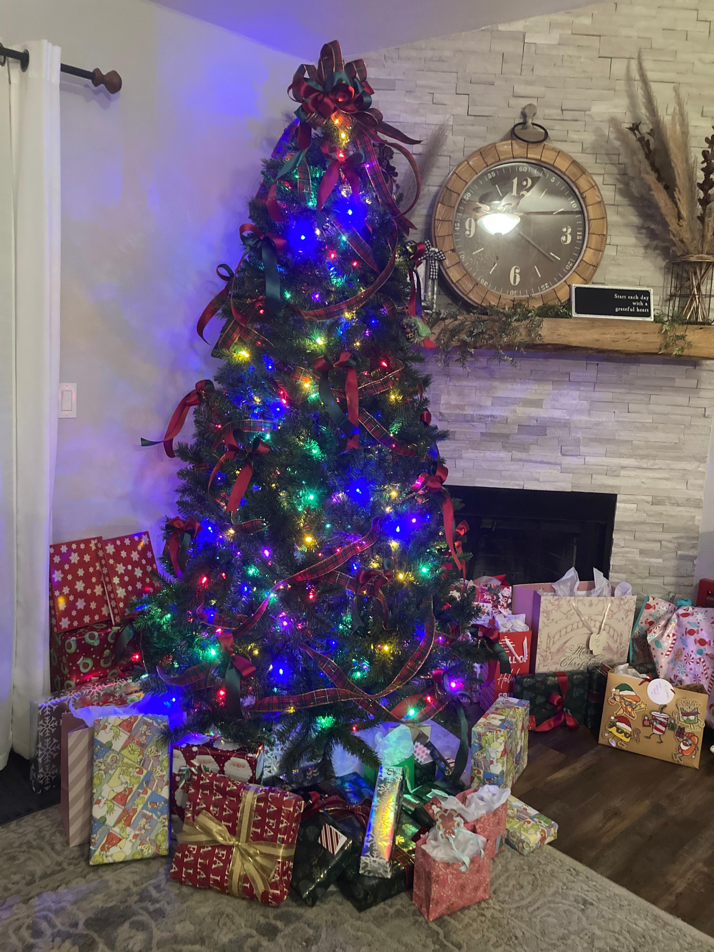 We put our tree up and had a very nice Christmas.