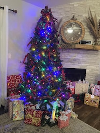 We put our tree up and had a very nice Christmas.