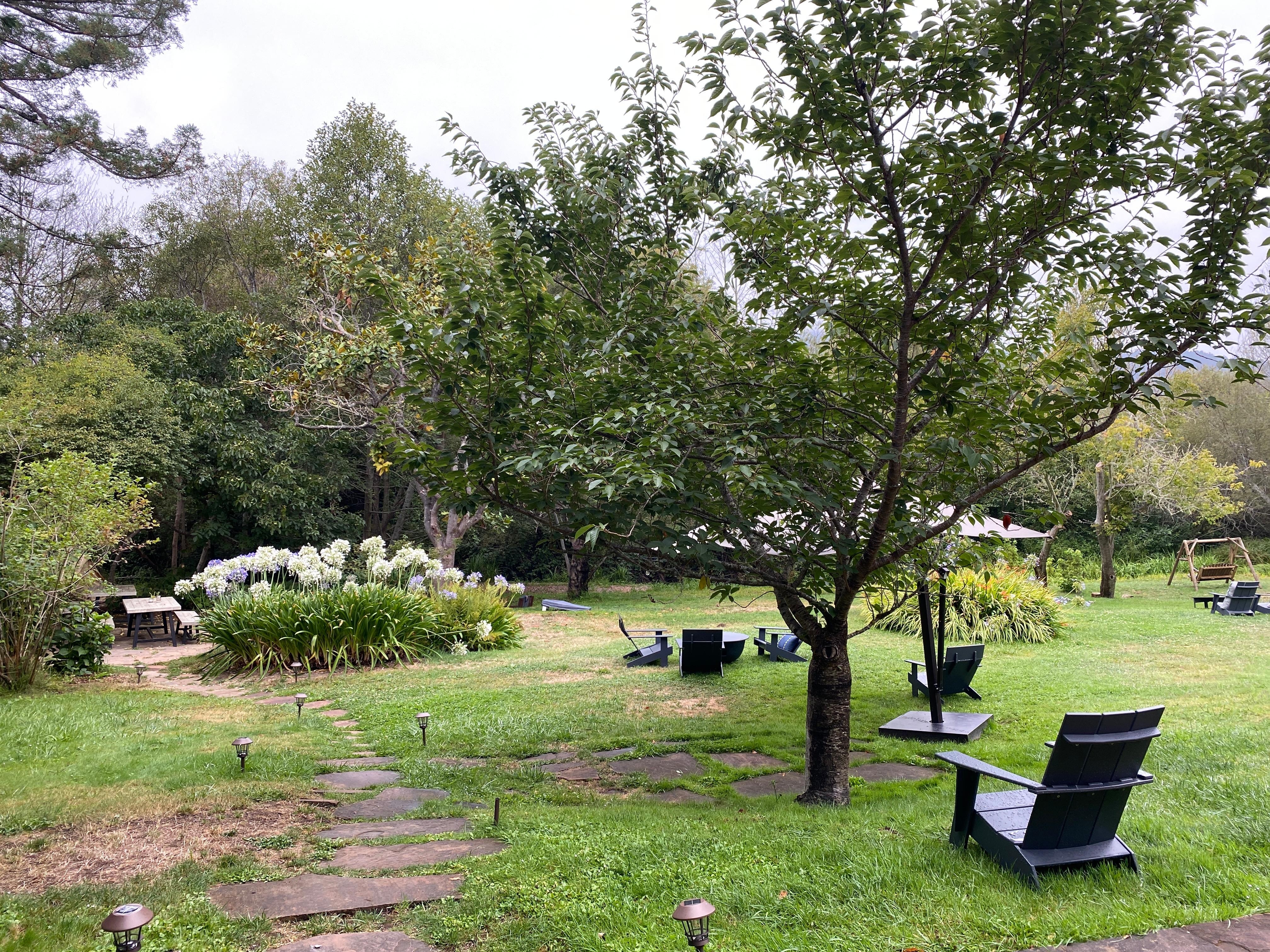 Part of the garden 