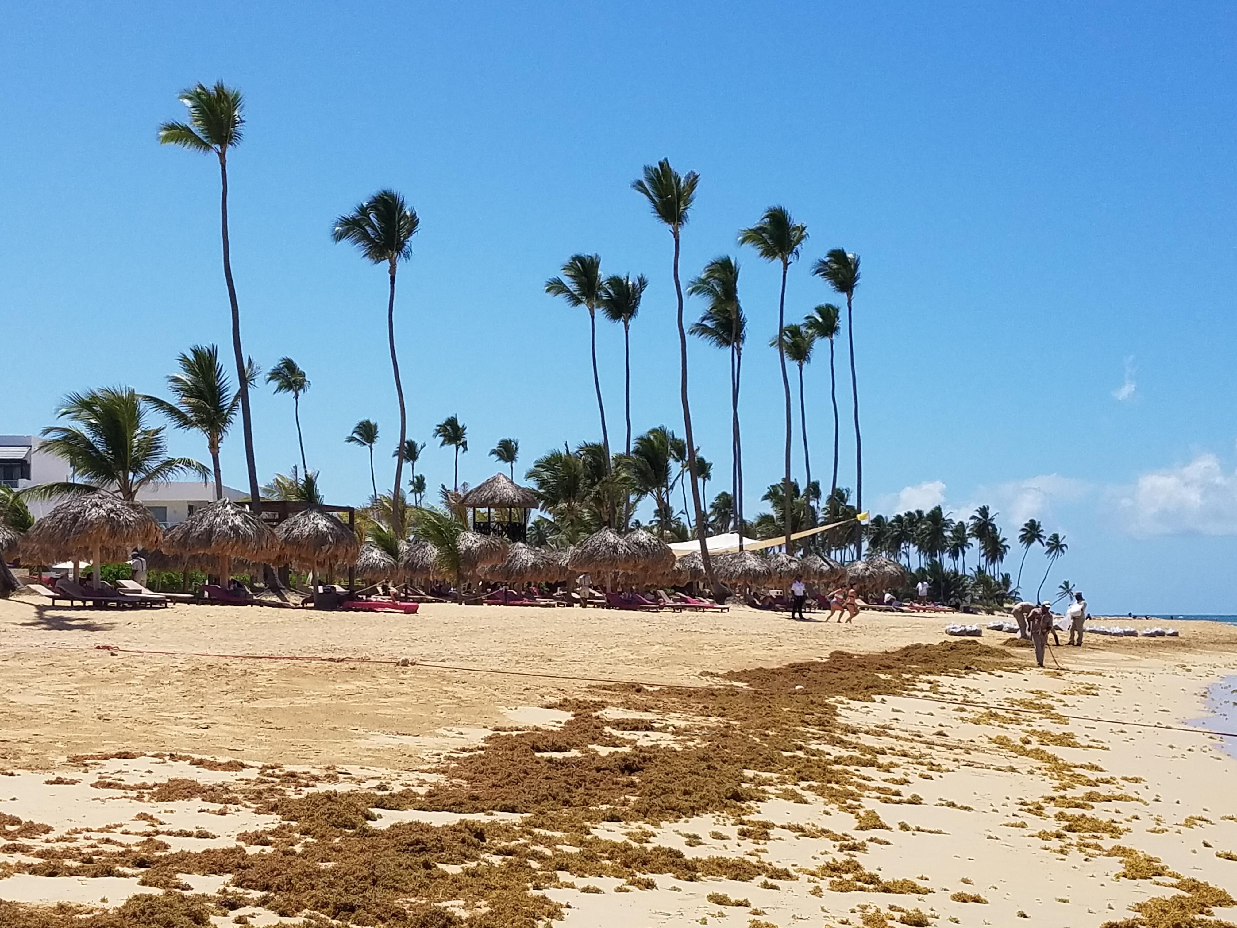 Beautiful beach