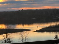 Early morning view from living room. Deer crossing through the river!