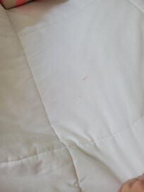 Blood