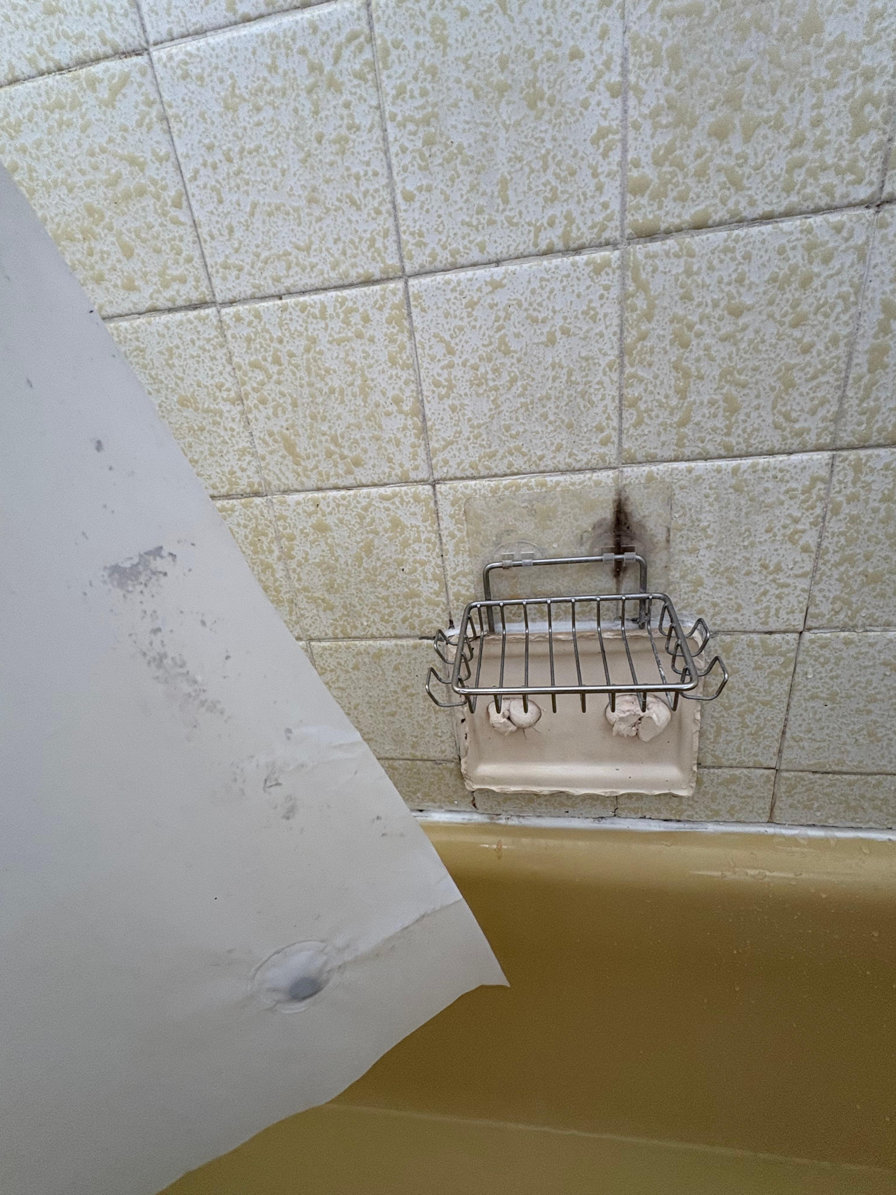 Guest bathtub soap dish with foam sprayed in to fill anchor holes. 