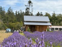 Lavender farm off the Olympic trial - easy e-bike ride