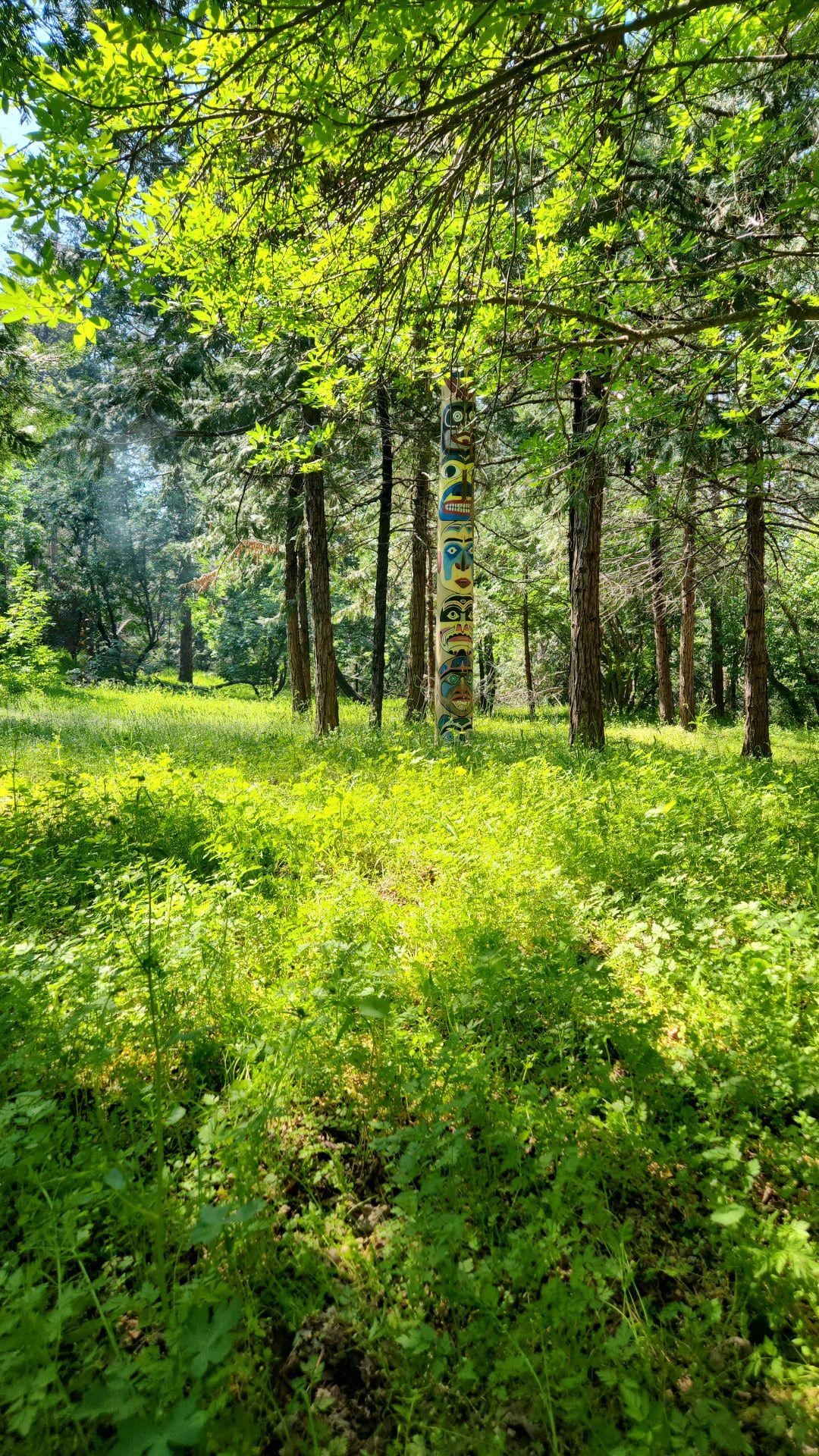 Over an acre of Sierra Nevada beauty. 