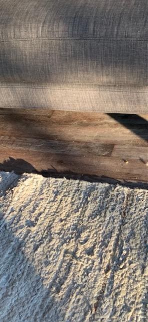 filthy floors that had not been vacuumed in a while in the living area at the base of the couch