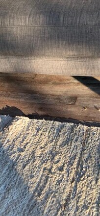 filthy floors that had not been vacuumed in a while in the living area at the base of the couch