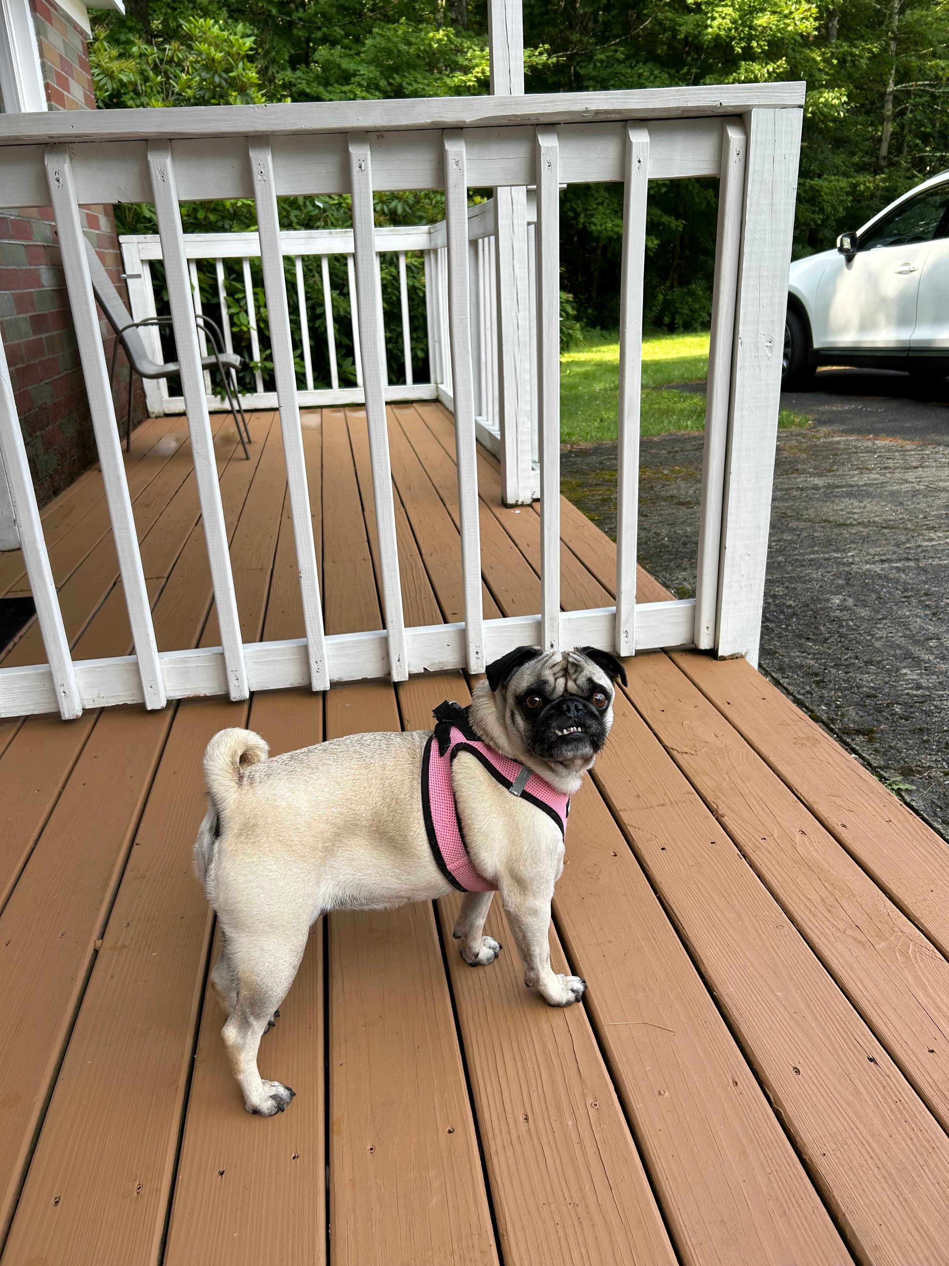 Nice porch 