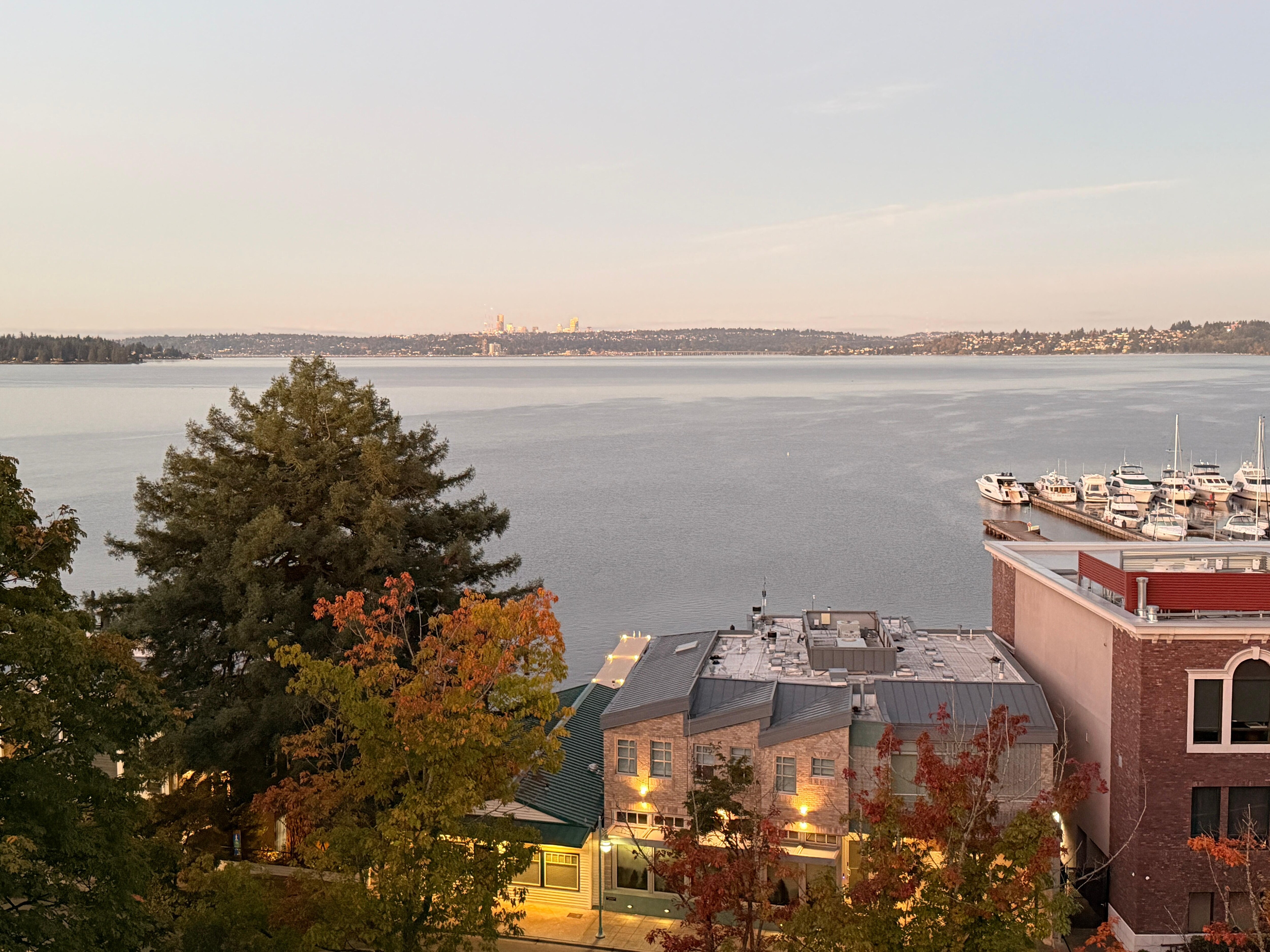 View from the living room.