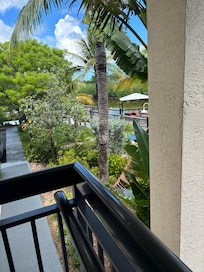 View from my room