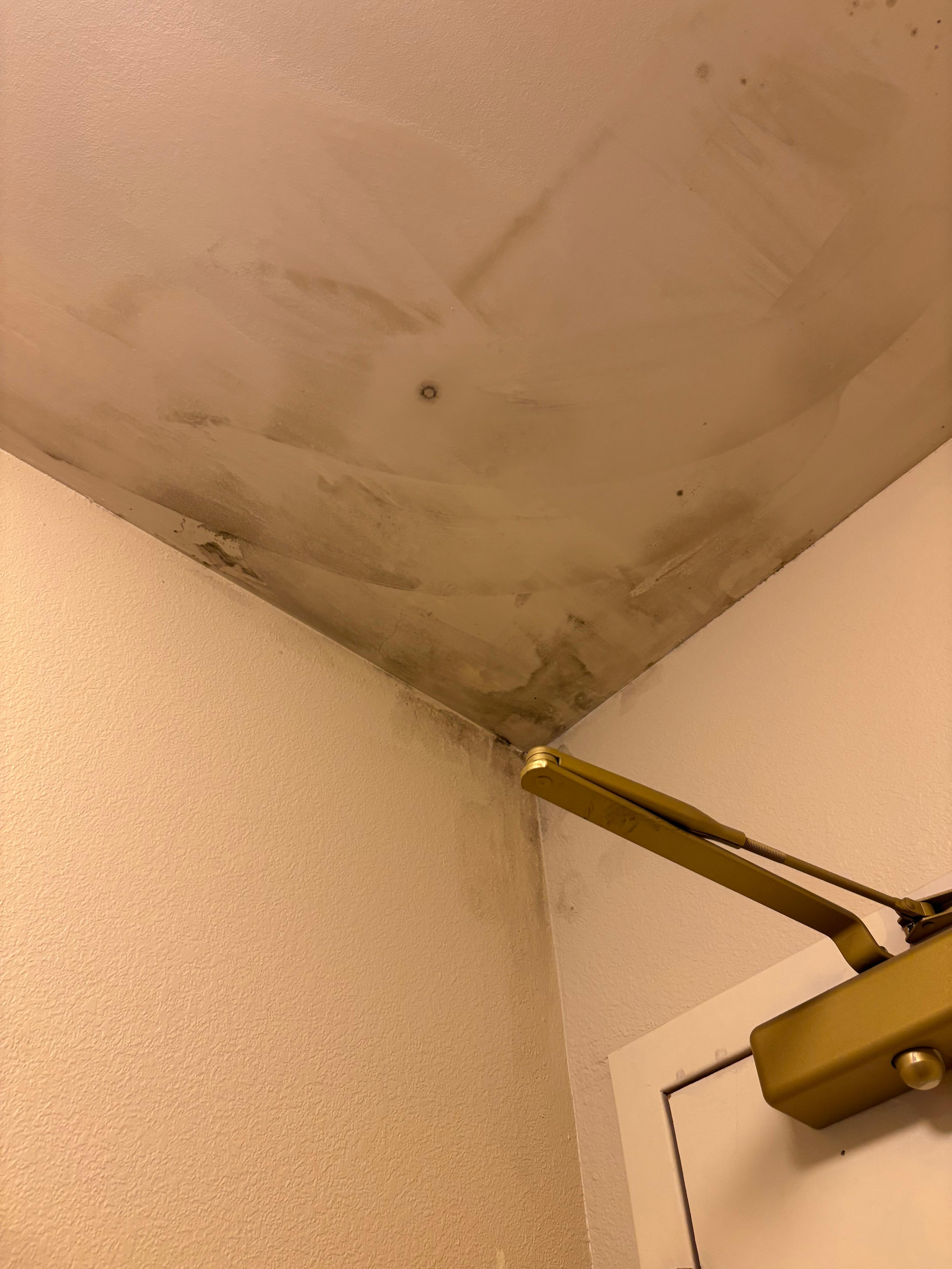 Corner of the room by doorway