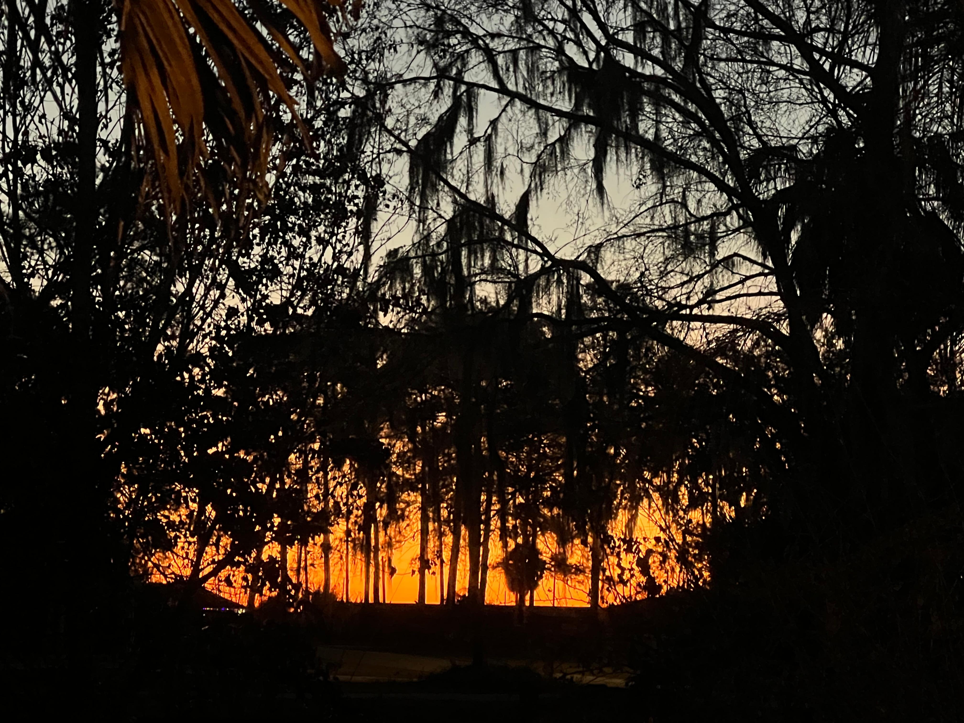 Sunrise in the front