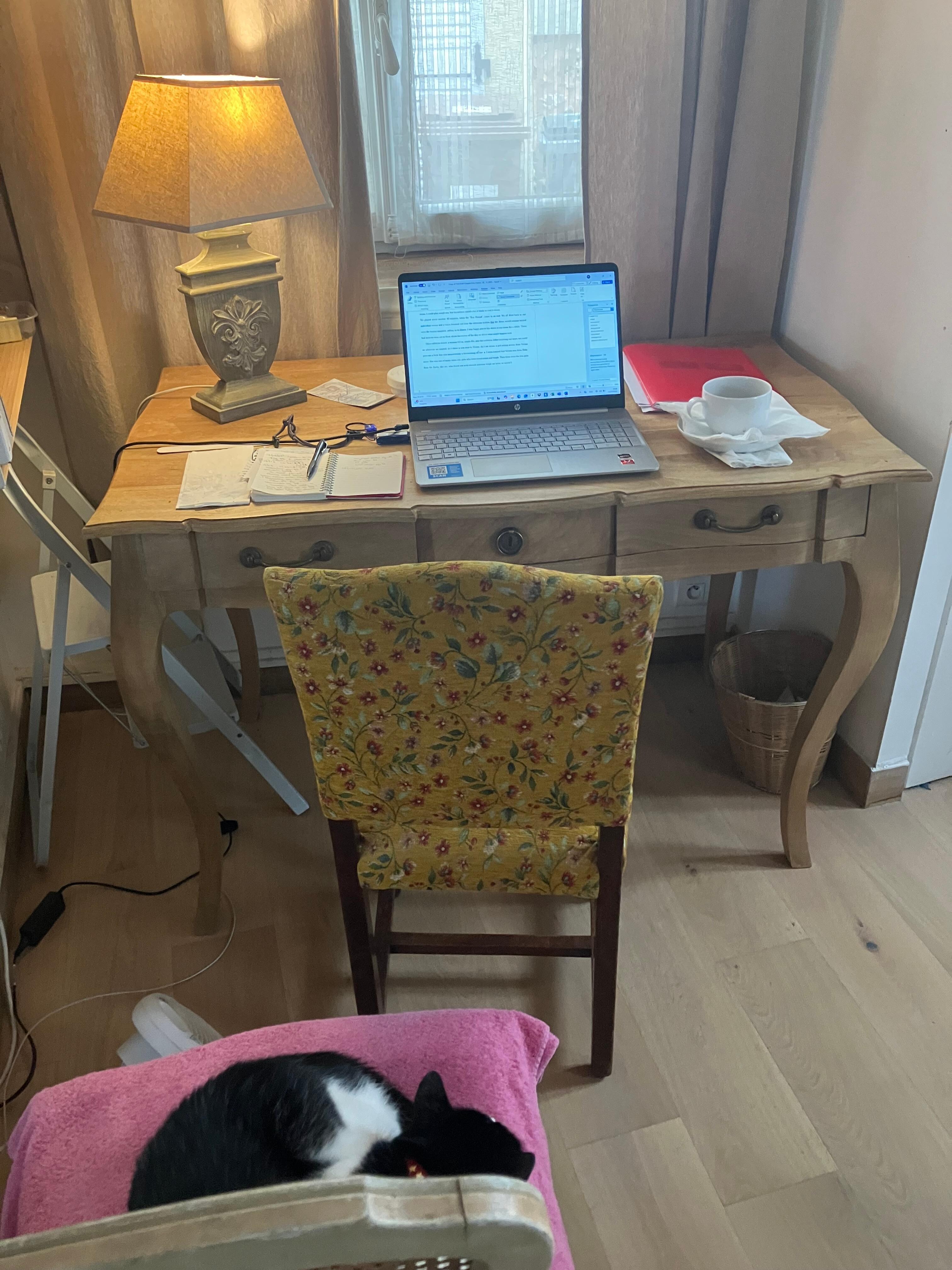 Dedicated work space-colleague not included.