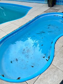 Piscina imunda